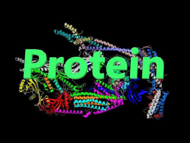 Nutrition and Metabolism | Structural Biochemistry