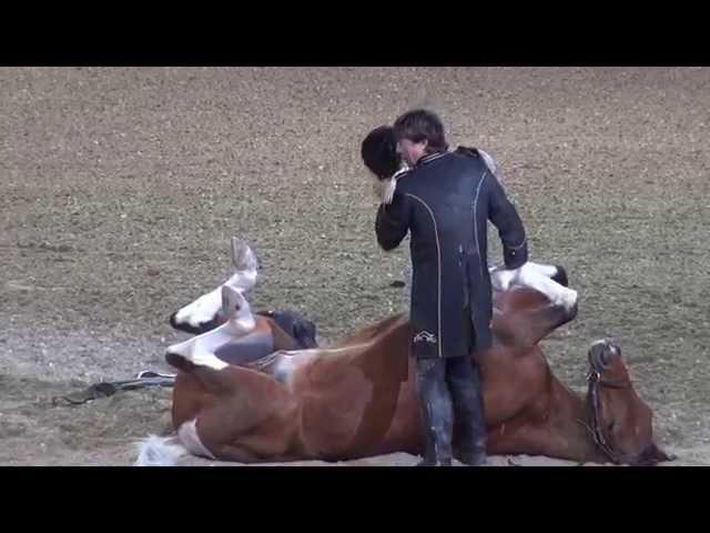 Funniest Horse Act Ever! Tommie Turvey and Pokerjoe! - Night of the Horse 2015 - #DMNHS