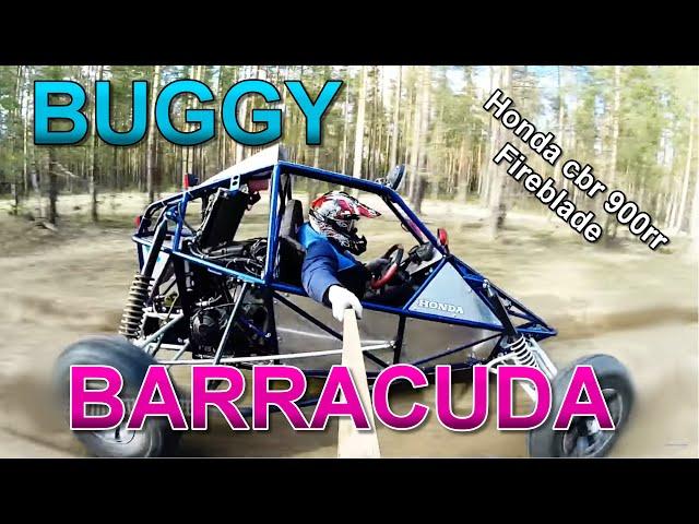 Багги Барракуда  buggy barracuda