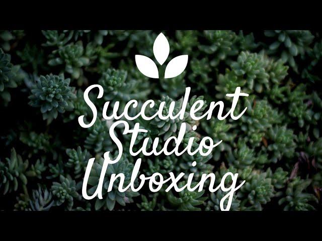 Succulent Studio Subscription Box Unboxing!
