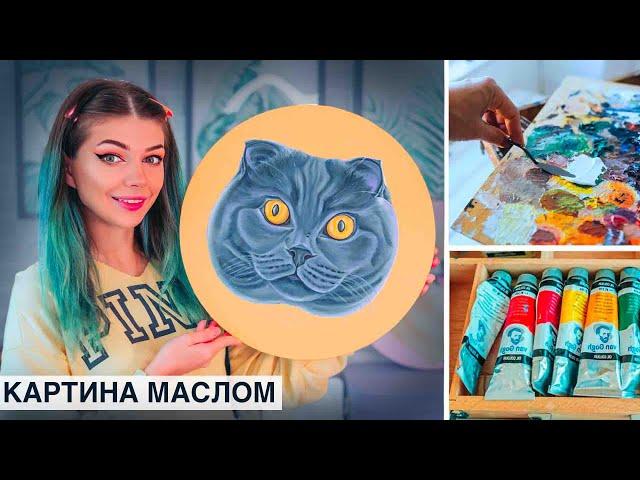 Рисую Котика Маслом - Картина Маслом Шотландская Кошка  | Как нарисовать Кошку масляными красками