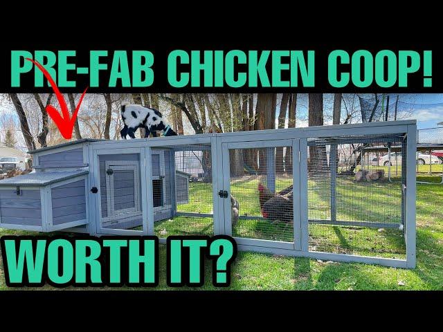 Is A Pre-Fab Chicken Coop Worth It? Aivituvin AIR45 Full Review!