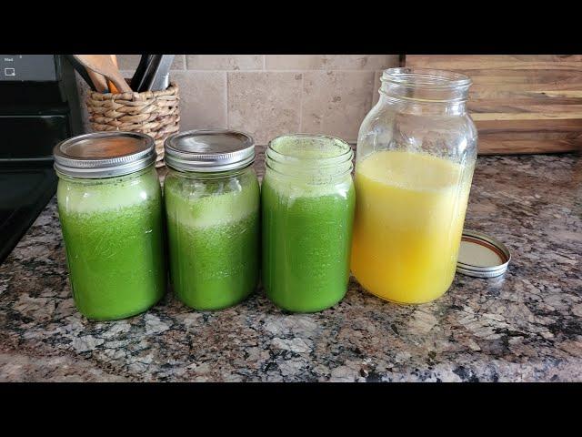 Healthy Green Juice Recipe