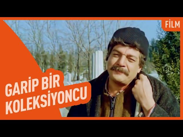 Garip Bir Koleksiyoncu | Film