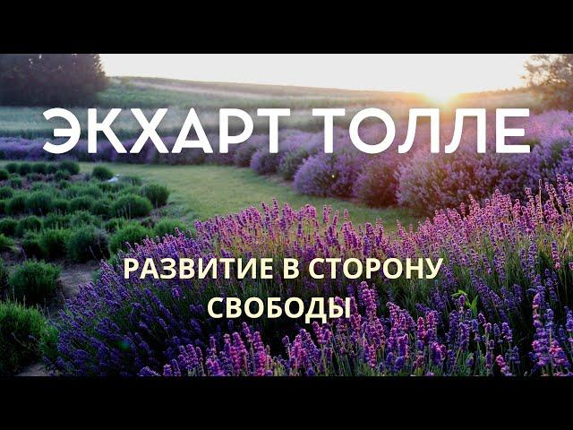 Развитие в сторону свободы - ЭКХАРТ ТОЛЛЕ [Nikosho]