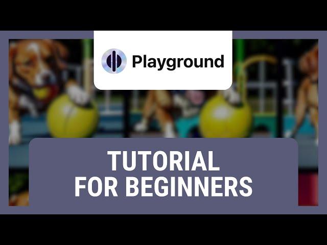Playground AI Tutorial for Beginners