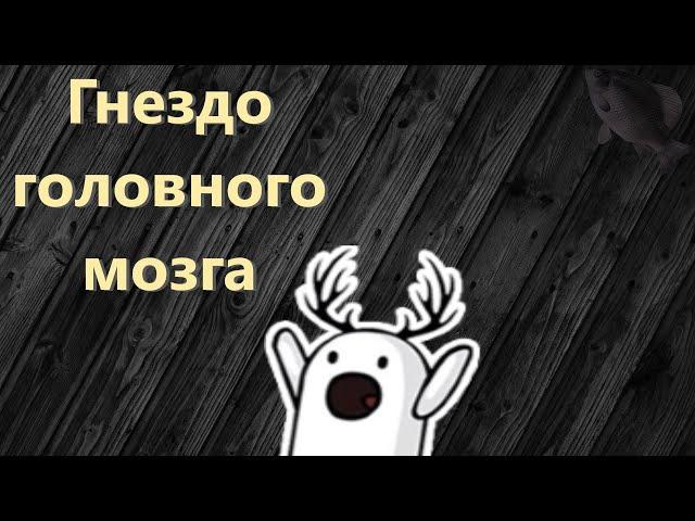 Гнездо головного мозга · Crossout/Кроссаут