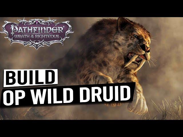 OP DRUID SHAPESHIFTER Build Guide - PATHFINDER WRATH OF THE RIGHTEOUS