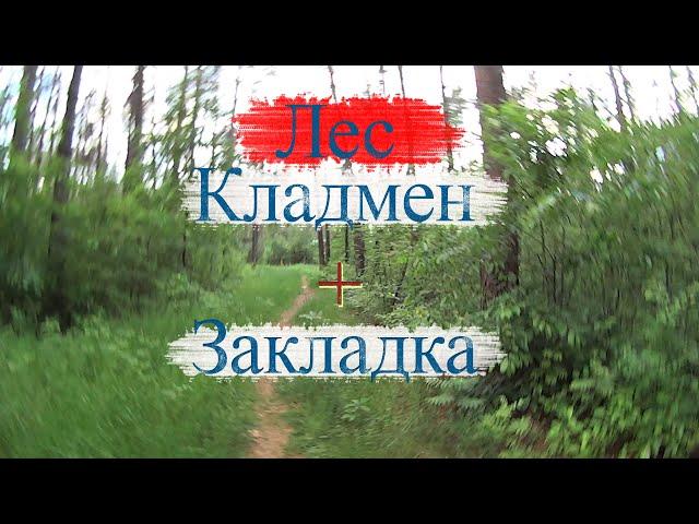 Ищу закладку / В поисках клада / Чайки