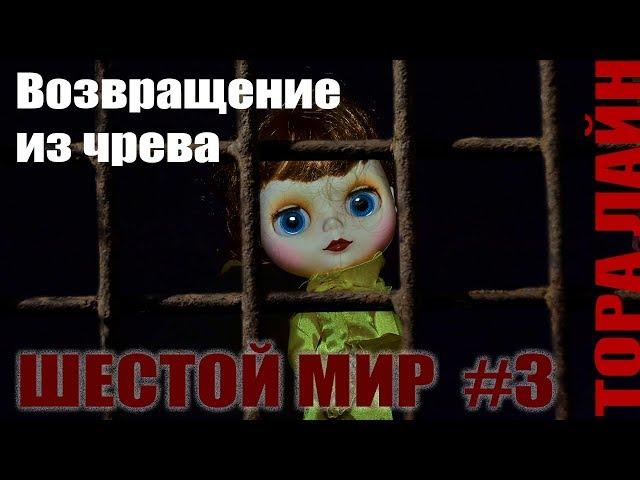 Возвращение из чрева - стоп моушен с куклами блайз, монстер хай и другими персонажами!