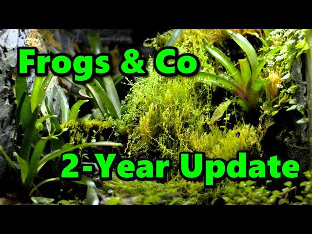 Two Years Later - My Thoughts on the ExoTerra Frogs & Co Vivarium