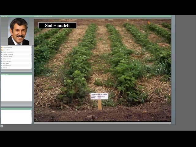 Weed Management Strategies for Berry Crops