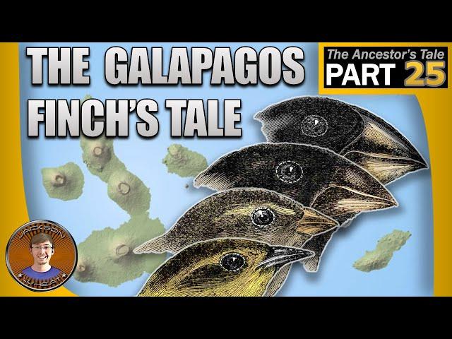 The Galapagos Finch's Tale