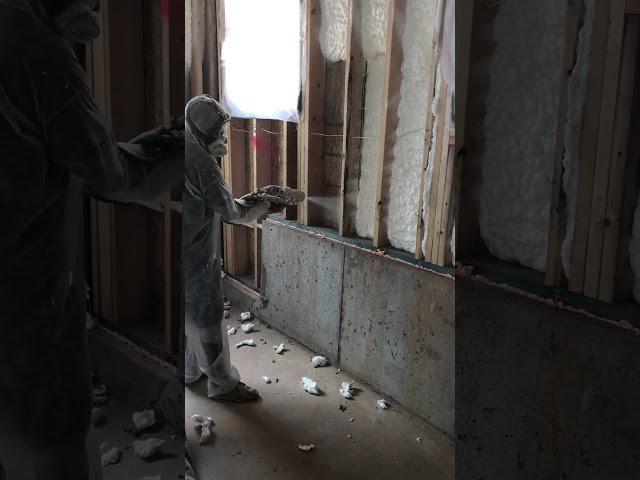 Open cell spray foam