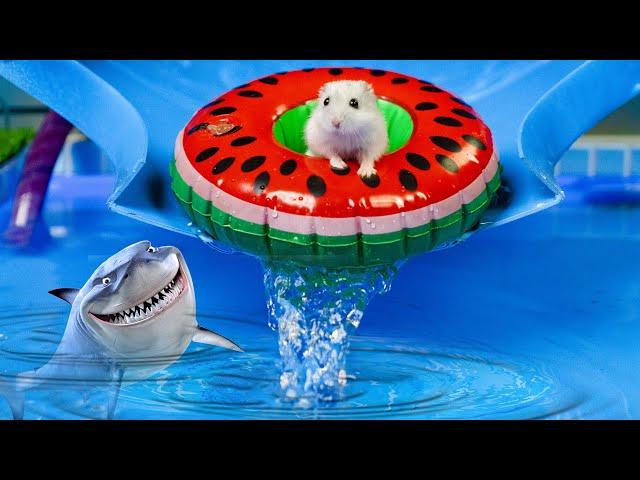 Hamster escapes maze with Squid Game