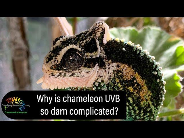 Why is Chameleon UVB so complicated?