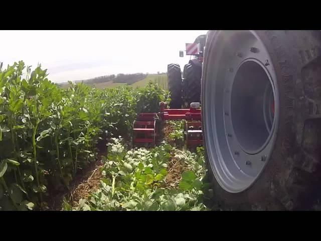 Green Tillage Planting with Horsch Maestro 8.60 CC