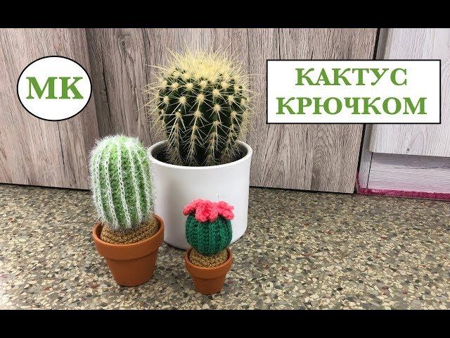 МК:  КАКТУС КРЮЧКОМ. 2 СОРТА = 1 СХЕМА.  CROCHET CACTUS