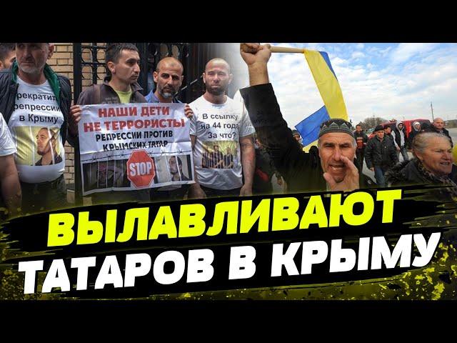 Массовые ОБЫСКИ И ЗАДЕРЖАНИЯ в Крыму! Кремль ищет представителей партизанского движения “Атеш”