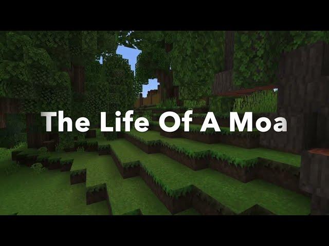 13 The Life Of A Moa | Dinara