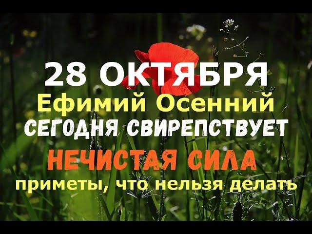 28 октября. Ефимий Осенний. СЕГОДНЯ СВИРЕПСТВУЕТ НЕЧИСТАЯ СИЛА/Народные приметы