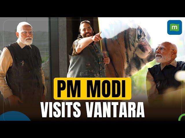 PM Modi Inaugurates Vantara Wildlife Centre in Gujarat, Explores Rescue and Conservation Efforts