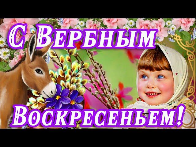 СЕГОДНЯ ВЕРБНОЕ ВОСКРЕСЕНЬЕ! ПОЗДРАВЛЯЮ ВАС СЕРДЕЧНО! ПУСТЬ В ДУШЕ ЦАРЯТ ВЕРА, ЛЮБОВЬ И НАДЕЖДА!