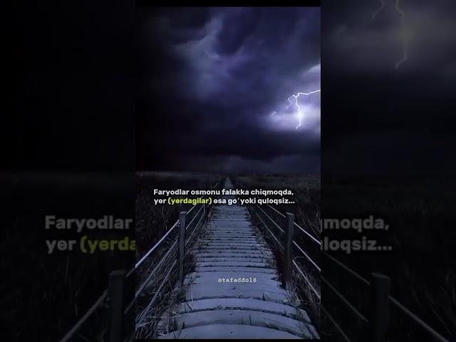 #faryod #shortvideo @Tafaddol8