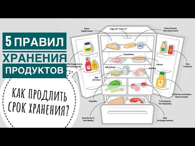 ХРАНЕНИЕ ПРОДУКТОВ В ХОЛОДИЛЬНИКЕ - 5 ПРАВИЛ и Лайфхаков