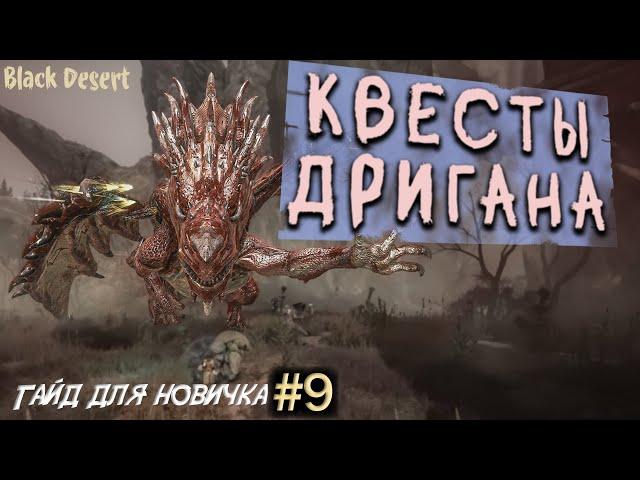 №9 Прохождения Дригана, как расширить склады в бдо  Гайд для новичка в Black Desert 2023