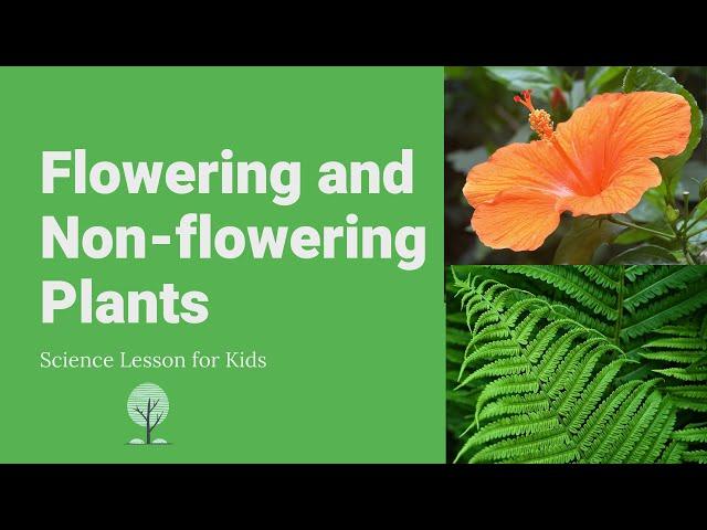 Flowering and Non-flowering Plants | Differences, Examples and Reproduction | Science Lesson