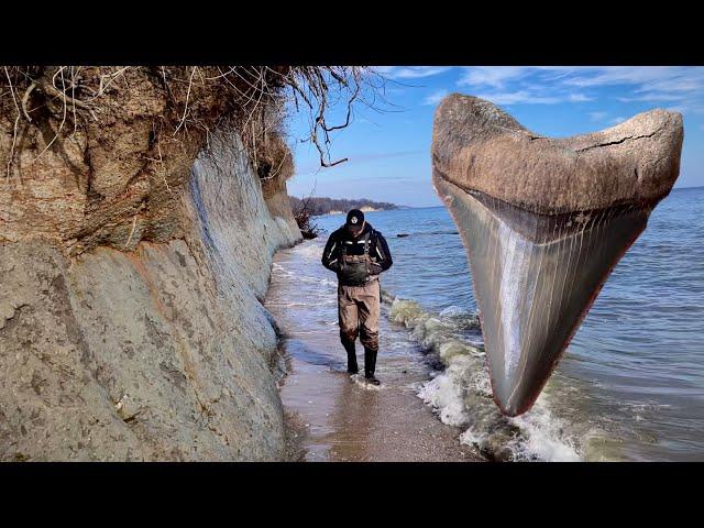 Finding a MEGALODON SHARK TOOTH! | Fossil Hunting