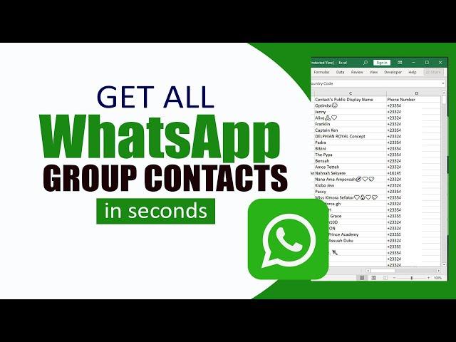 How to Export All WhatsApp Group Contacts to Excel | In Seconds