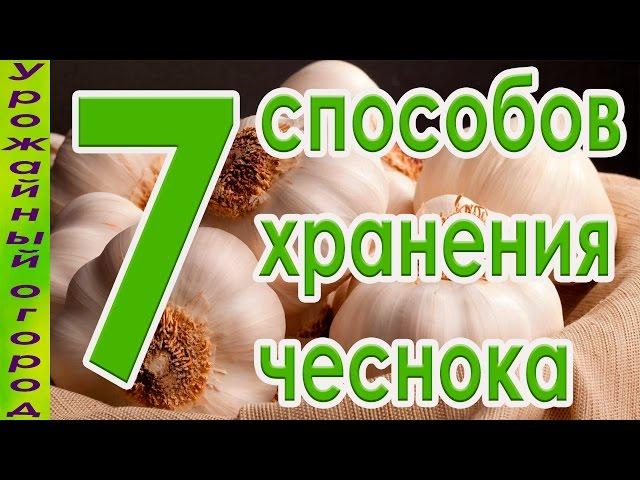 7 СПОСОБОВ ХРАНЕНИЯ ЧЕСНОКА!