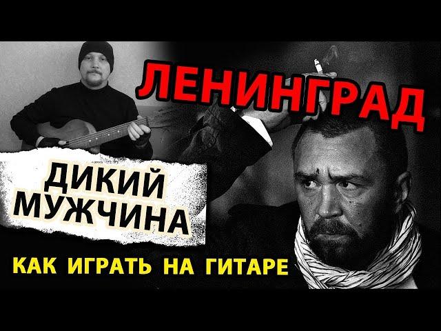 ЛЕНИНГРАД - ДИКИЙ МУЖЧИНА (ПРОСТАЯ ПЕСНЯ НА ГИТАРЕ) АККОРДЫ и БОЙ (РАЗБОР) КАК ИГРАТЬ (COVER)