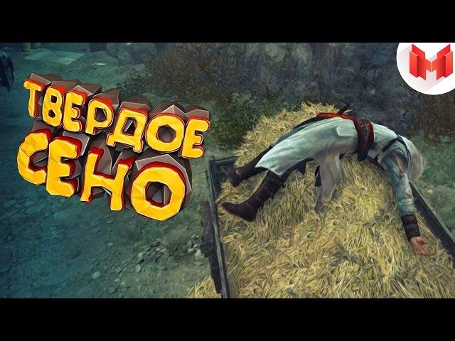 Assassin's Creed "Баги, Приколы, Фейлы"