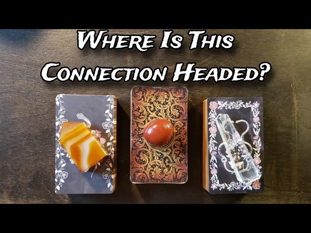  Where Is This Connection Headed?  Pick A Card Love Reading