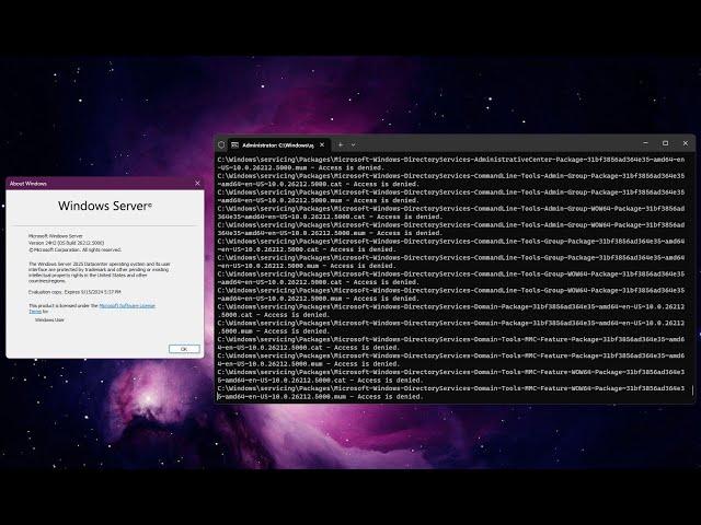 Destroying Windows Server 2025 Build 26212!