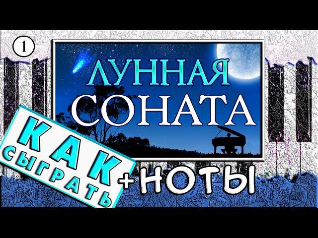 Лунная Соната На Пианино ОБУЧЕНИЕ + НОТЫ  Урок Для Начинающих