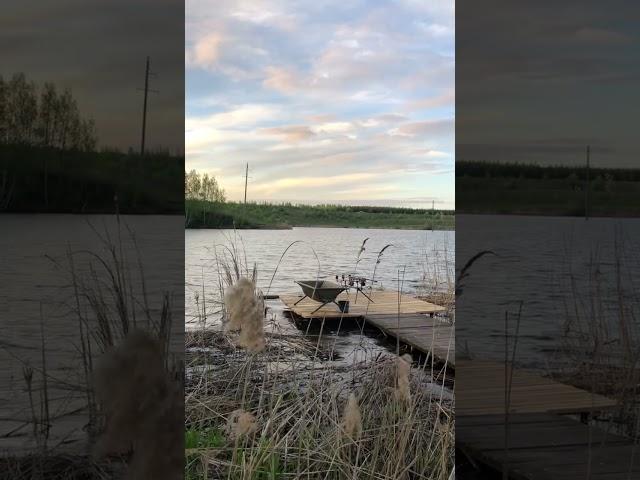 #carpfishing #карповаяловля #карповаярыбалка #карпфишинг #рыбалка #прикормкадлярыбалки #carp #бойлы