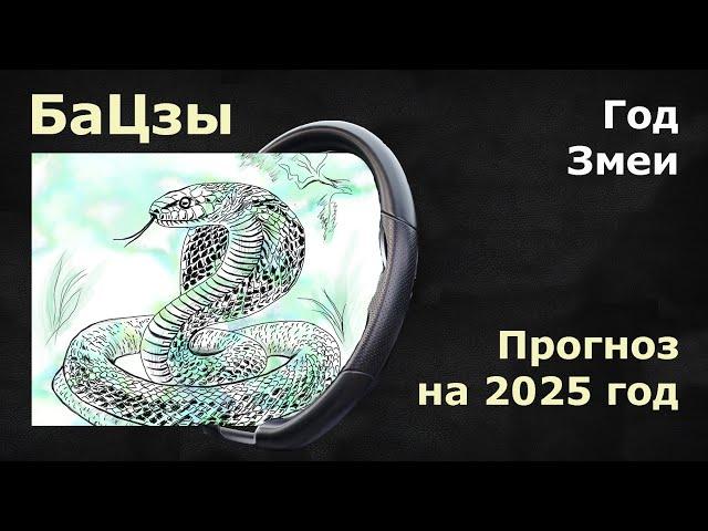 БАЦЗЫ: Волшебный прогноз на 2025 год змеи