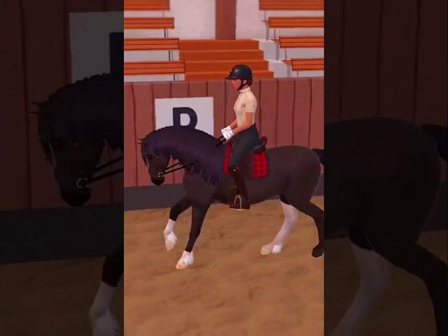 Fizzy does some training #horse #equinegame #horseriding #equinelife #horserides #horsefan