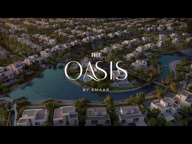 The Oasis