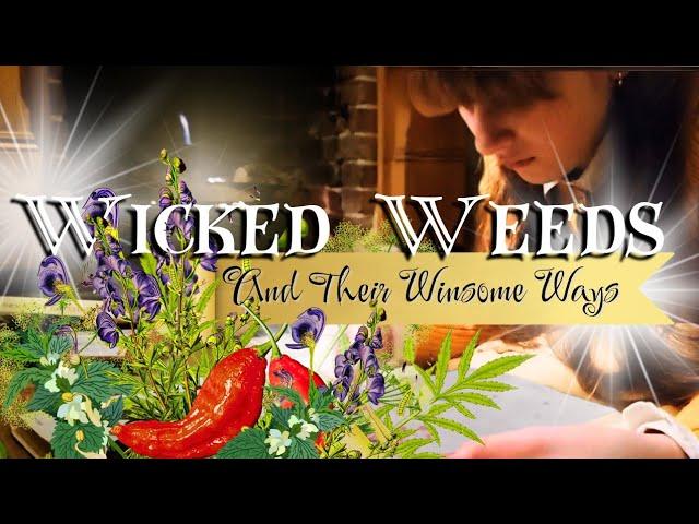 Wicked Weeds and their Winsome Ways/Scary Botanicals/Wolfbane/Ghost pepper/Nettle/Hemlock #facts