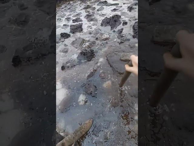 Бурение на болоте #геологоразведка #тундра