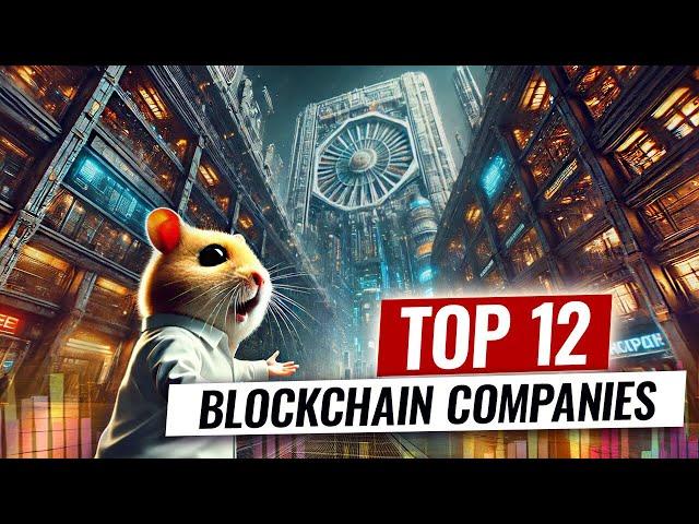 Hamster Rating: TOP 12 Biggest Blockchain Companies in the World in 2024