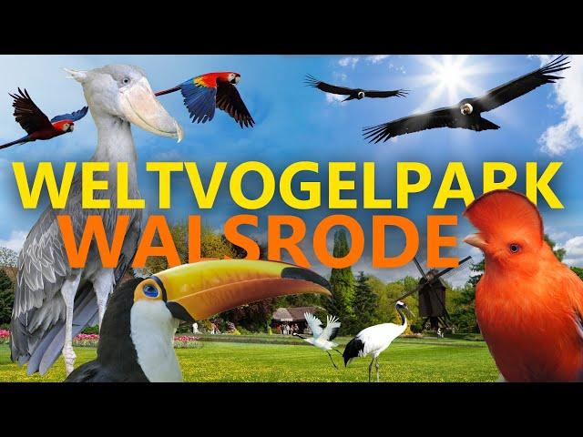 Weltvogelpark Walsrode | Zoo-Eindruck