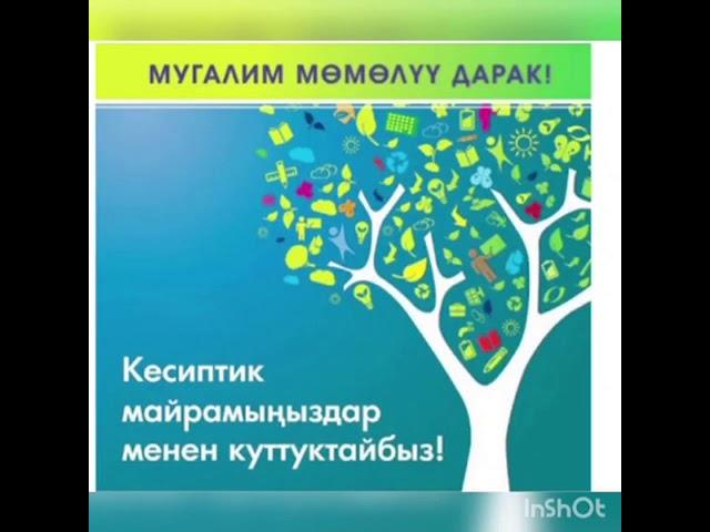 "Мугалим момолуу дарак"