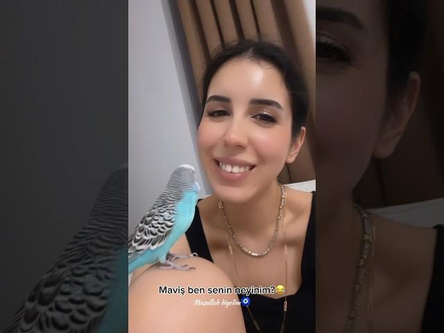 Mavişkoyla Sohbet