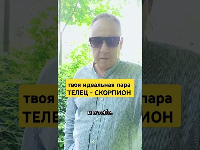 Кто твоя идеальная пара? Телец и Скорпион #джйотиш #ведическаяастрология #астрологпитченко